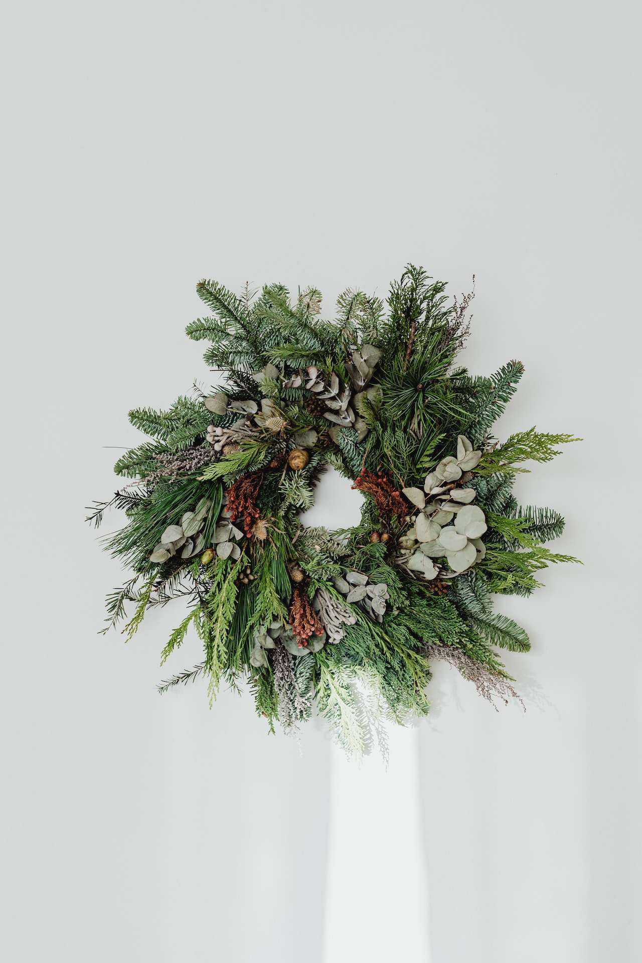 Fresh wreath on a white wall.